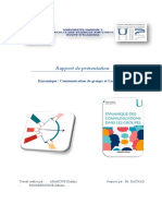 DynamiqueDeGroupe_Leadership_RAPPORT