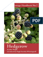 Hedgerow - John Wright