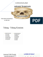Anatomi kranium