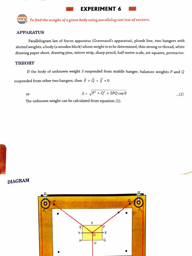 Simple Pendulum Experiment for Class 11 | PDF | Pendulum | Force