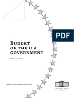 Budget of the United States Government Fiscal Year 2022