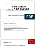 Pendekatan Diagnosis Anemia (Dr. Erida)