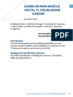 Non-muscle Invasive Bladder Cancer Guidelines