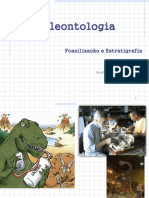 Aula 04 - Pitágoras Paleontologia e estatigrafia