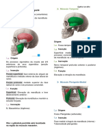 Músculos da mandíbula e hioide