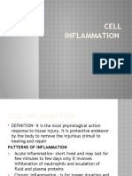 Cell Inflammation