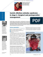 Gastric Dilation-Volvulus Syndrome in Dogs 2. Surgical and Postoperative Management