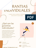 Garantias Individuales - Exposicion