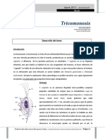 Trichomoniasis: causas, síntomas y tratamiento de la infección por T. vaginalis