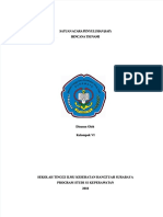 PDF Satuan Acara Penyuluhan Sap Bencana Tsunami DD