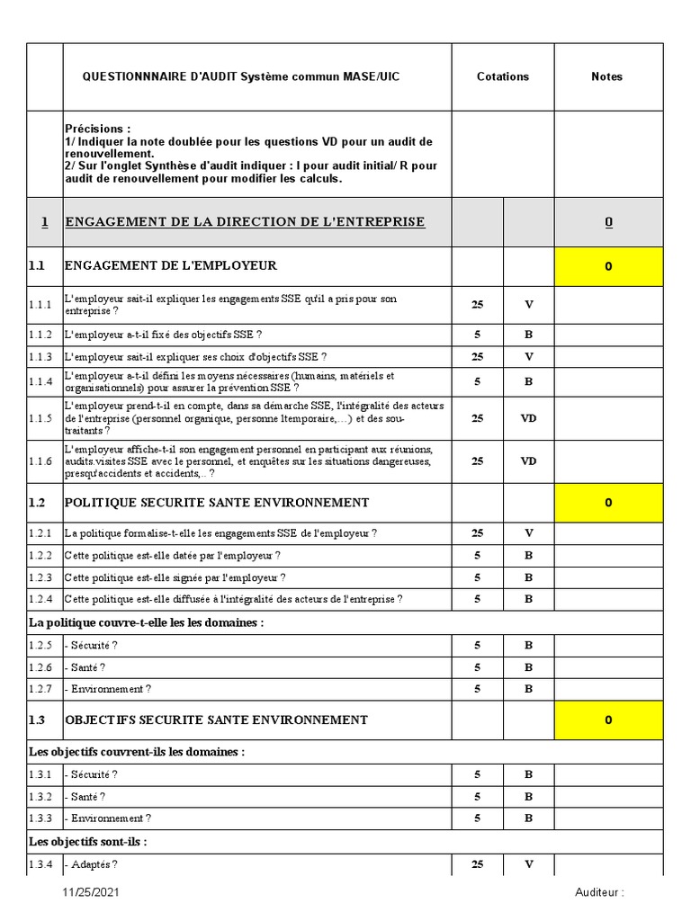 Questionnaire d'Audit MASE/UIC | PDF | Audit | Compétence (Ressources ...