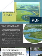 Wetlands in India