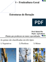 Fruticultura Geral - Estruturas de Floração e Ramos Especializados