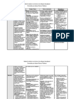 Matriz Individual - Adriana Moreno