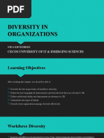 DIVERSITY IN ORGANIZATIONS - Lecture 2 Week 3