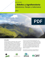 Bosques, Arboles y Agroforesteria-ExecutiveSummary - SP - Web