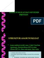 Asam Nukleat Dan Biosintesis Protein - 6!9!17