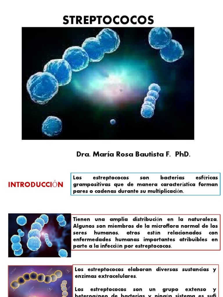 Clasificación y características de estreptococos | PDF | Estreptococo ...