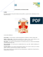 Generalidades en Cirugia de Nariz 