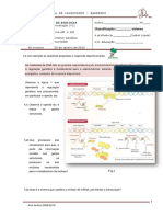 4_teste-bio12_2009-v1