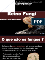 Microbiologia Fungos Saúde Bucal