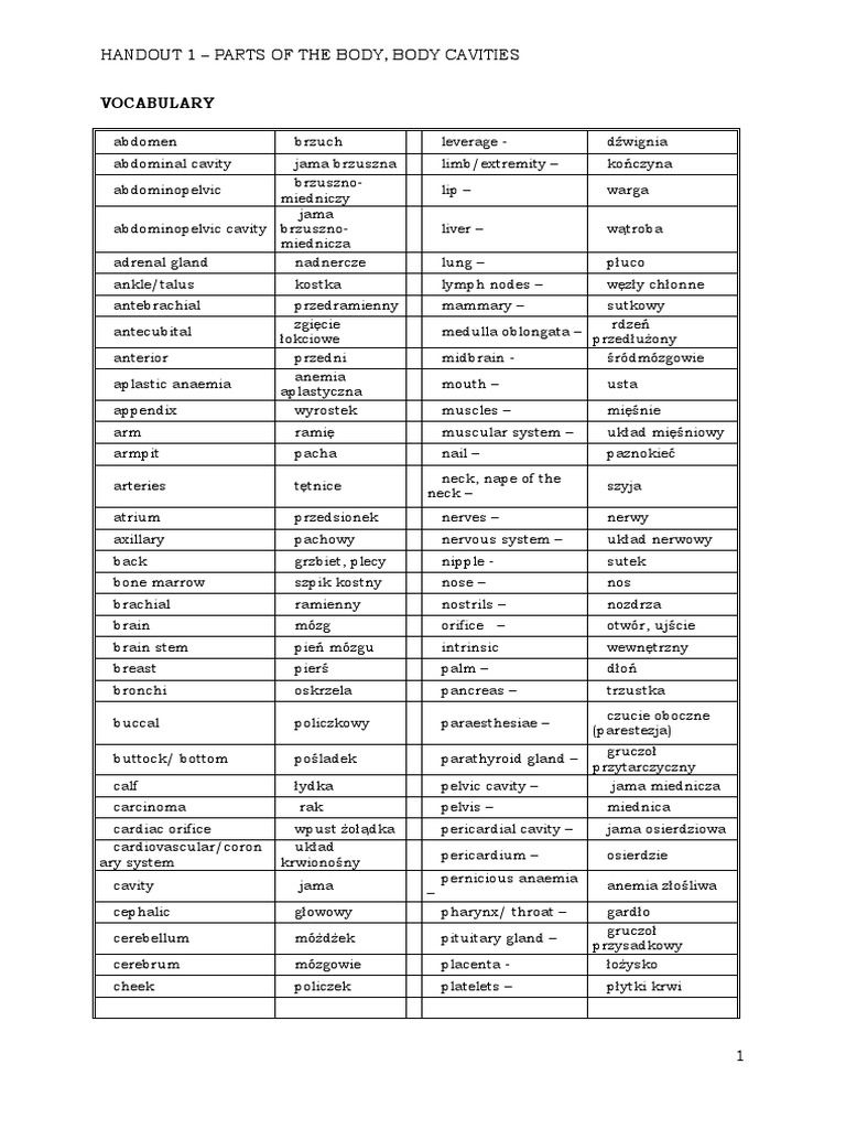ANGIELSKI Handout1 Parts of The Body Polski-Angielski | PDF