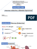 Tema 34 y 35