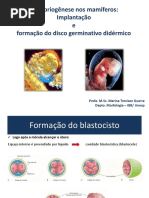 Fisiologia da Lactação e Lactogênese | PDF | Seio | Órgão (anatomia)