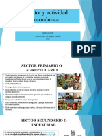 Sector y Actividad Económica