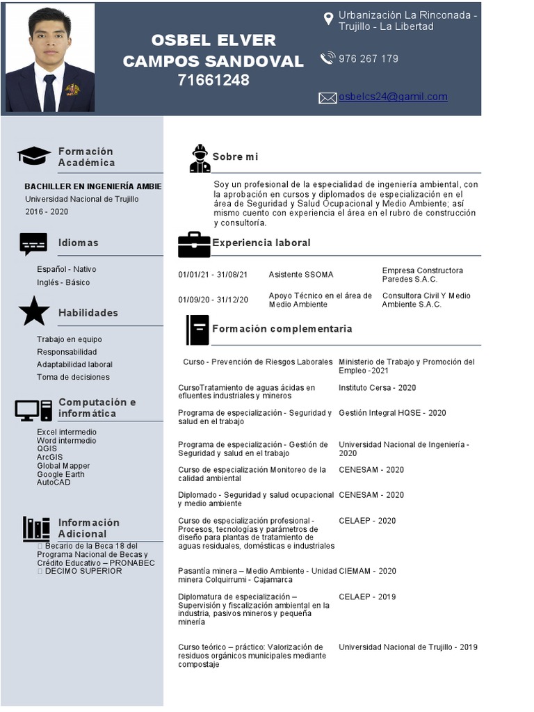 Modelo de CV 1 | PDF | Minería | Ingeniería