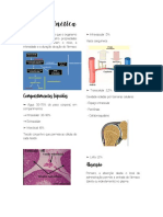 Farmacocinética Resumo