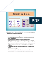 Guia de Trabajo Del Metabolismo