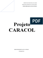 Plano de Trabalho Caracol 2016