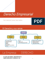 Derecho Empresarial 2