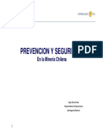 03. Prevencion y Seguridad