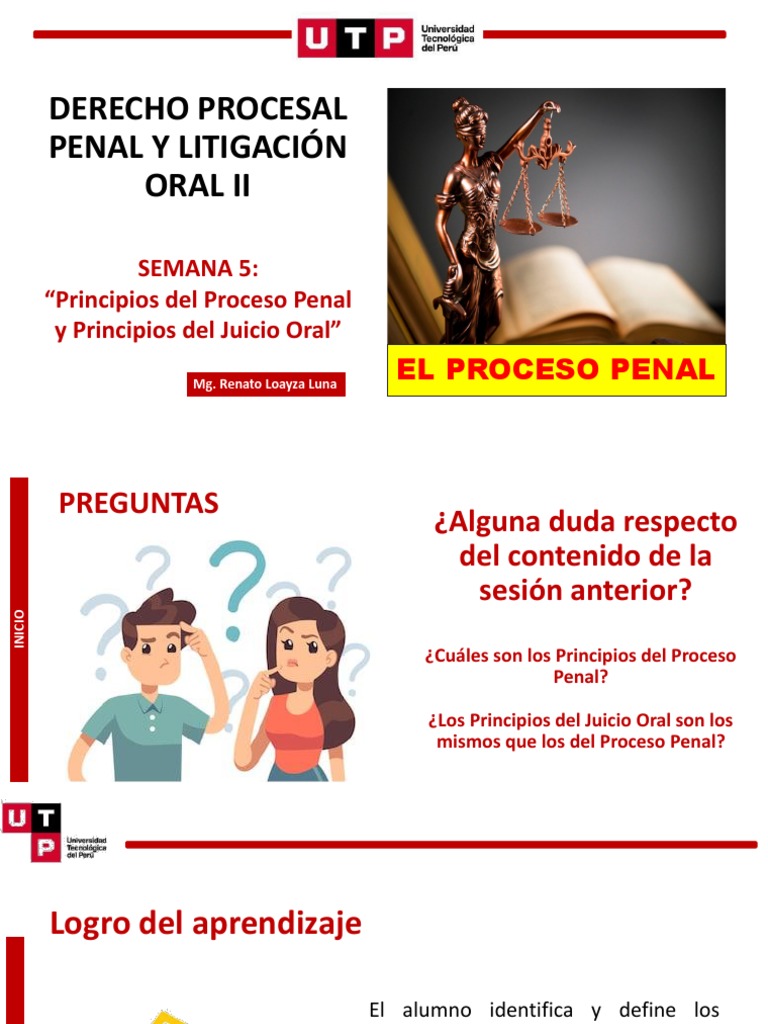 Principios del Proceso Penal y Juicio Oral | PDF | Ley procesal ...