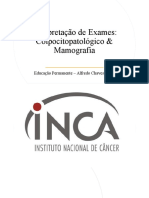 Interpretação Mamografia e Preventivo