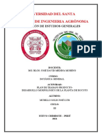 Desarrollo morfológico de la planta de rocoto