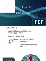 Nucleic Acids Dna & Rna