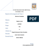 Reporte de Investigación T1. Castro Rogelio