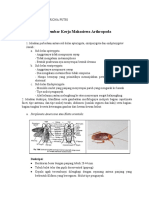 LKM Arthropoda ANDRA FEBRIONA PUTRI 2005113169 KEL.2