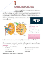 Fisiologia y Fisiopatlogia Renal