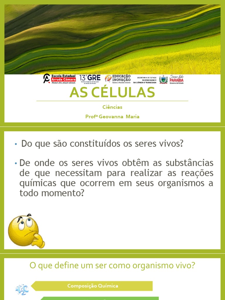 As Células - Níveis de Organização Celular | PDF | Célula (Biologia ...
