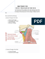 Section Vii: Head and Neck 3: Triangles of The Neck