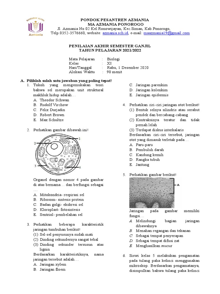 Penilaian Akhir Biologi Kelas XI Azmania | PDF