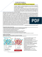 5 Cs. Ciudadanía Formativa 4