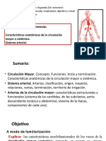 Conferencia Sistemas Arterial - Silvia