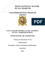 06 Informe Linares Mayhualla Saúl Enrique