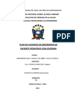 Plan de cuidados enfermería niño leucemia