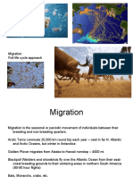 Migration Full-Life Cycle Approach